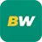 Logo BetWinner